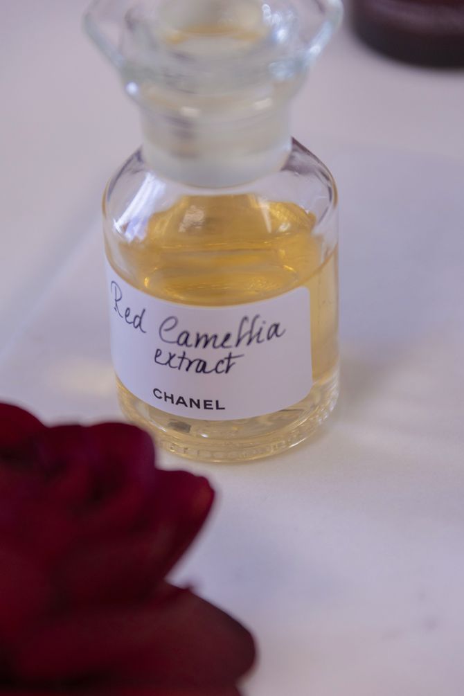 chanel tuinen Frankrijk Camelia bloemen