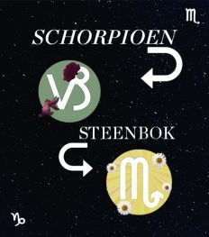 Hoe compatibel zijn Schorpioen en Steenbok in een relatie?