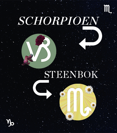 Hoe compatibel zijn Schorpioen en Steenbok in een relatie?