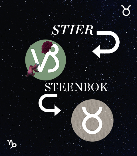 Hoe compatibel zijn Steenbok en Stier in een relatie?