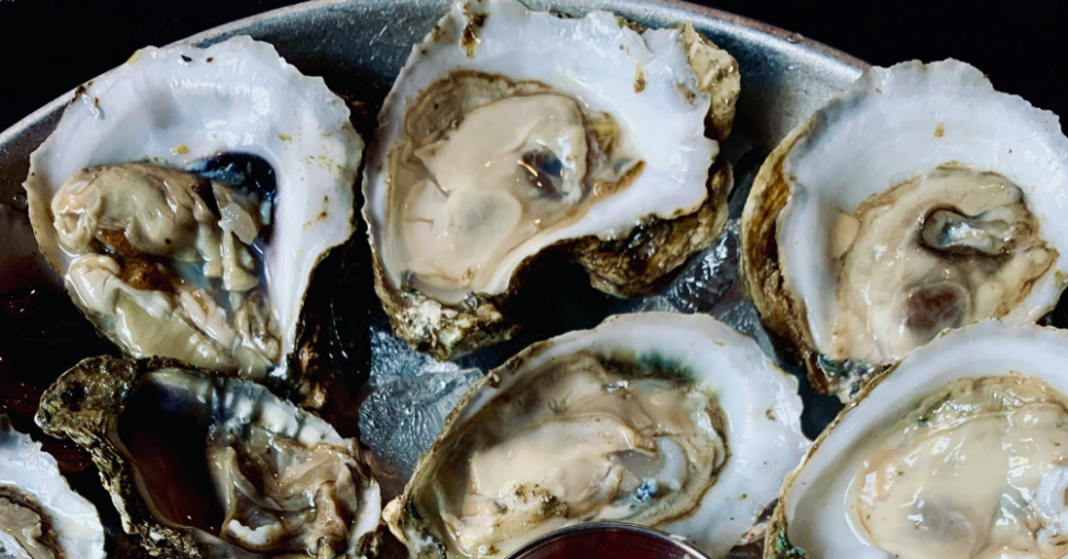 Oesters plukken in Zeeland: hier moet je zijn