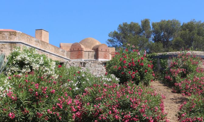 Citadel van Saint-Tropez