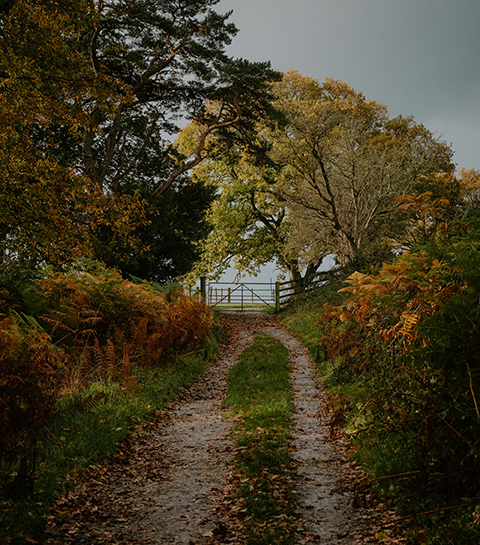 9 bestemmingen voor een (lang) weekendje weg deze herfst