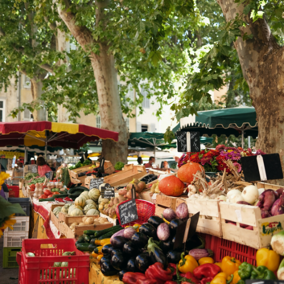 provence-frankrijk-reizen-herfst