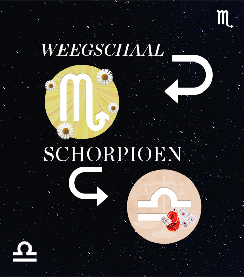 Hoe compatibel zijn Schorpioen en Weegschaal in een relatie?