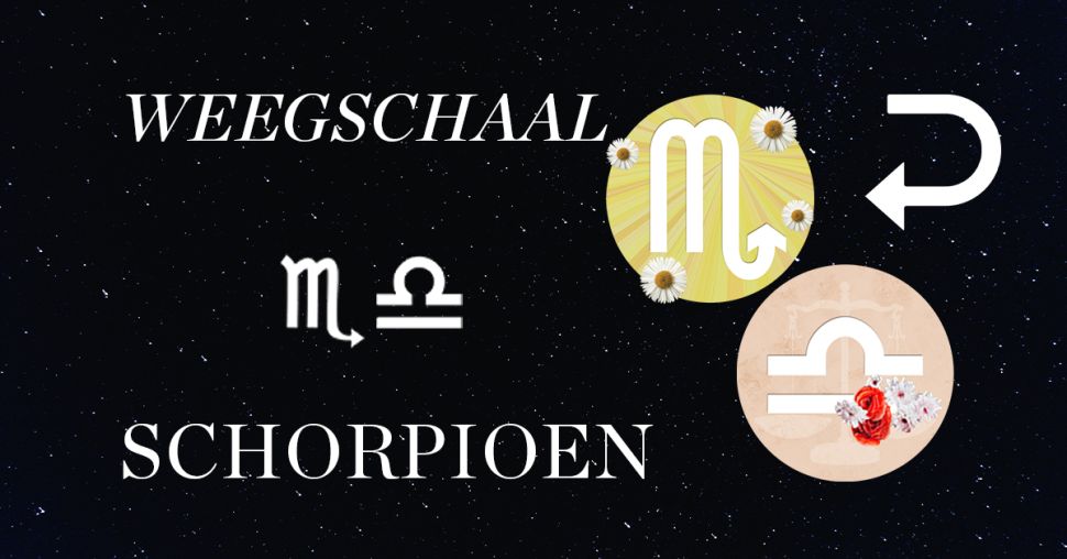 Hoe compatibel zijn Schorpioen en Weegschaal in een relatie?