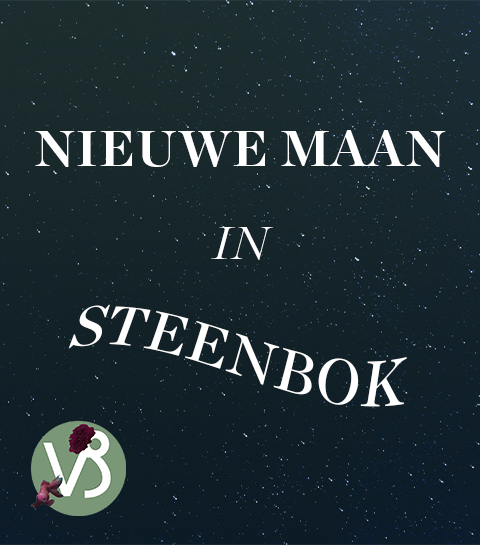 De nieuwe maan in Steenbok op 30 december wil dat je je ambitie vergroot