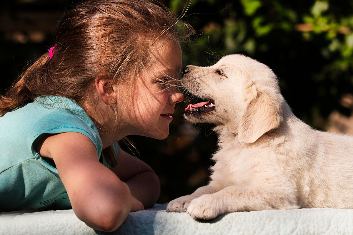 Wil je een hond die écht lief is? Dit zijn de 6 beste keuzes volgens een fokker!